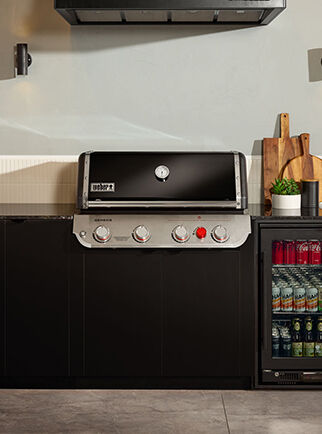 Weber genesis built in on sale