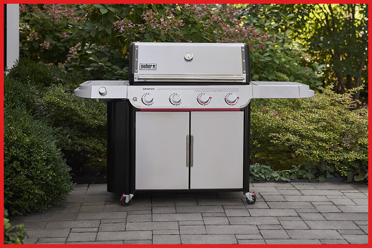 Weber Genesis