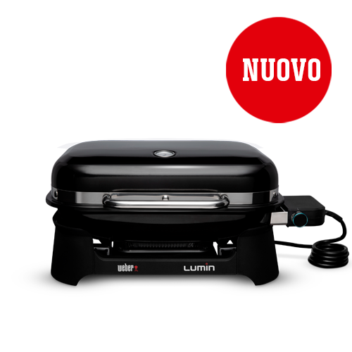 Steil Regeneratie slachtoffers Weber® ufficiale: benvenuto nel mondo del barbecue
