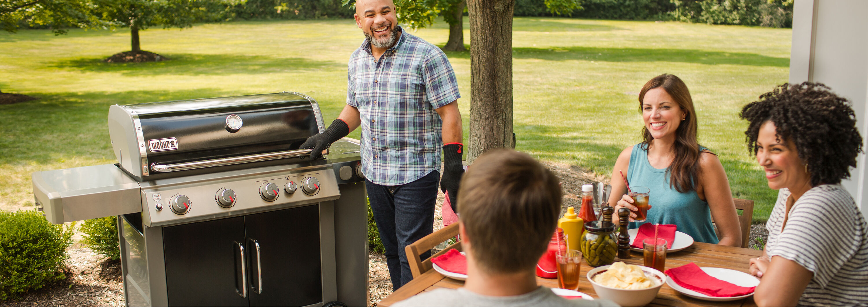 weber e435