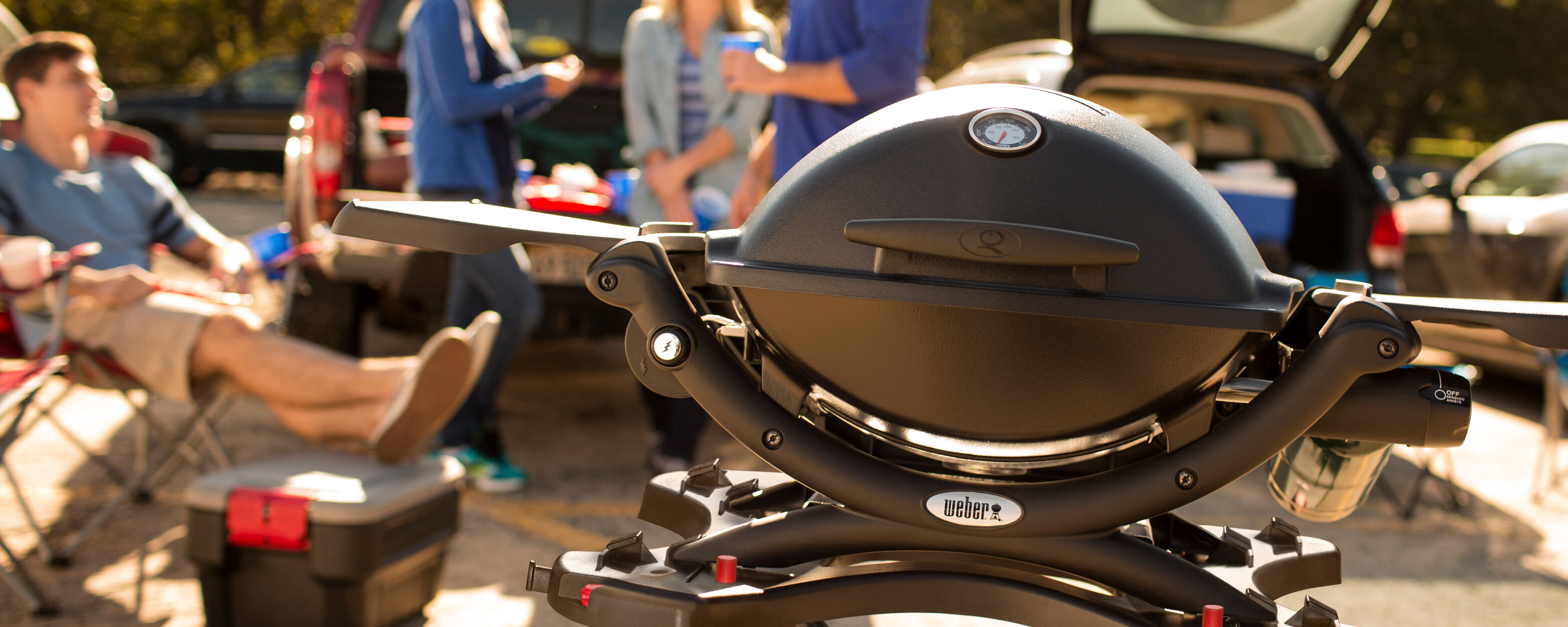 weber q1200 sale