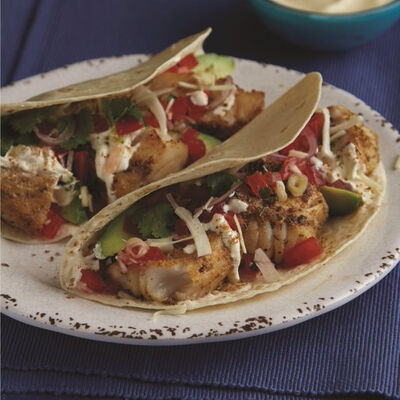 Spécial Poissons-view 2