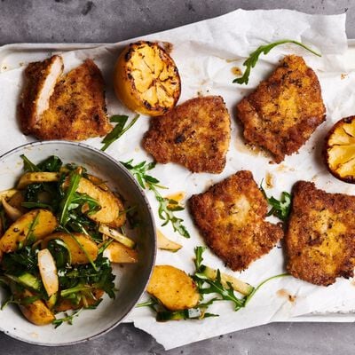 Der neue Basic-view 2