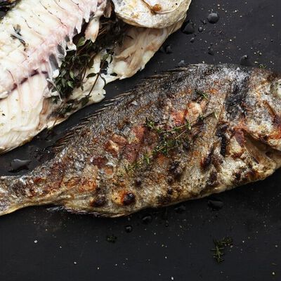 Tutto pesce-view 1