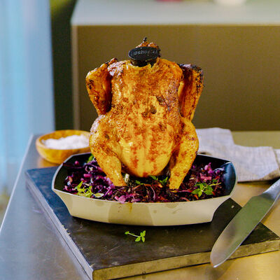 Spécial Carnivore-view 2