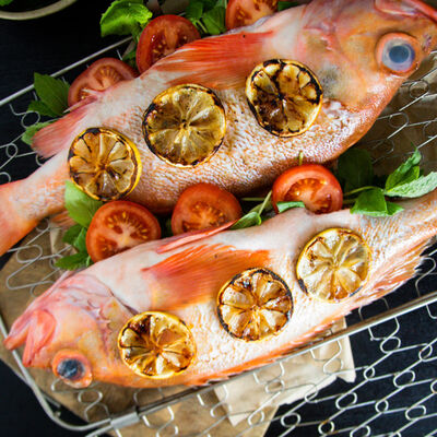 Mediterr&acirc;ne-view 2