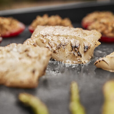 Das 1x1 von der Plancha-view 1