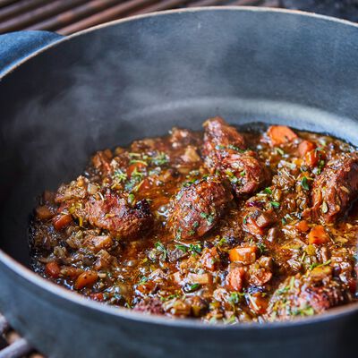 BBQ EVOLUTION-view 1