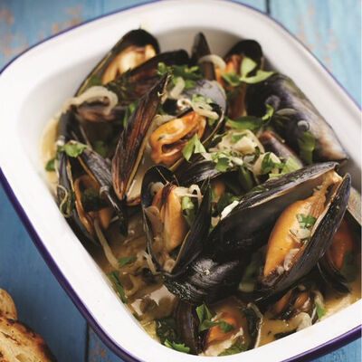 Spécial Poissons-view 1