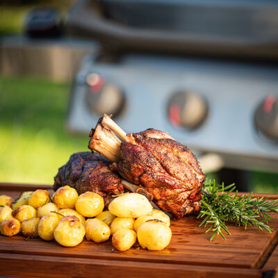 STARTING BBQ-view 1