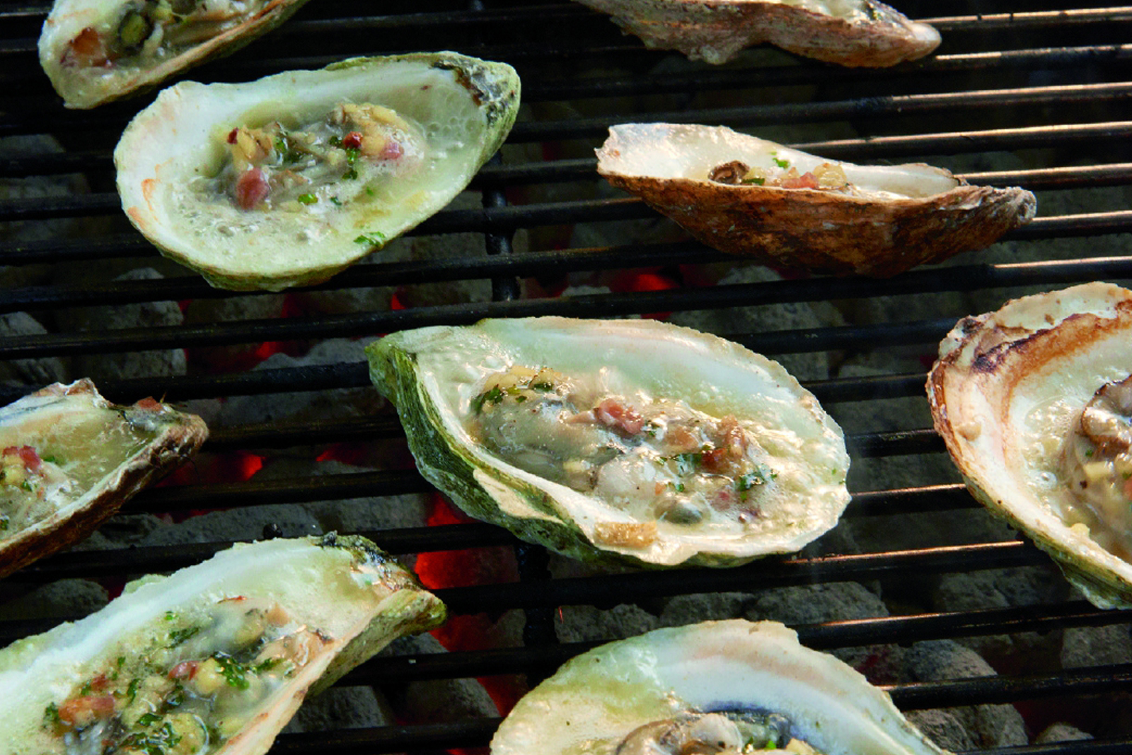 charcoal grill image