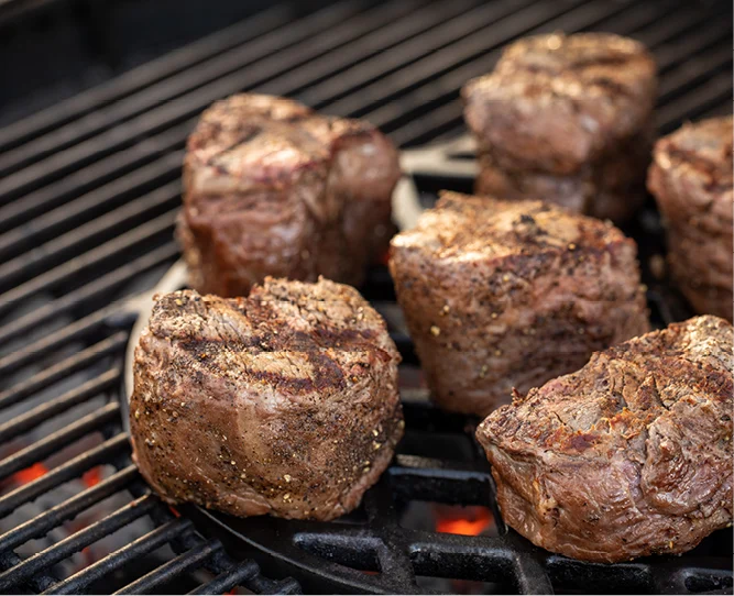 Gourmet BBQ System Cooking Grate