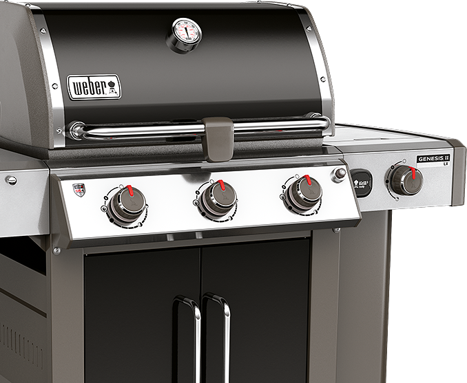 Genesis Grill 2