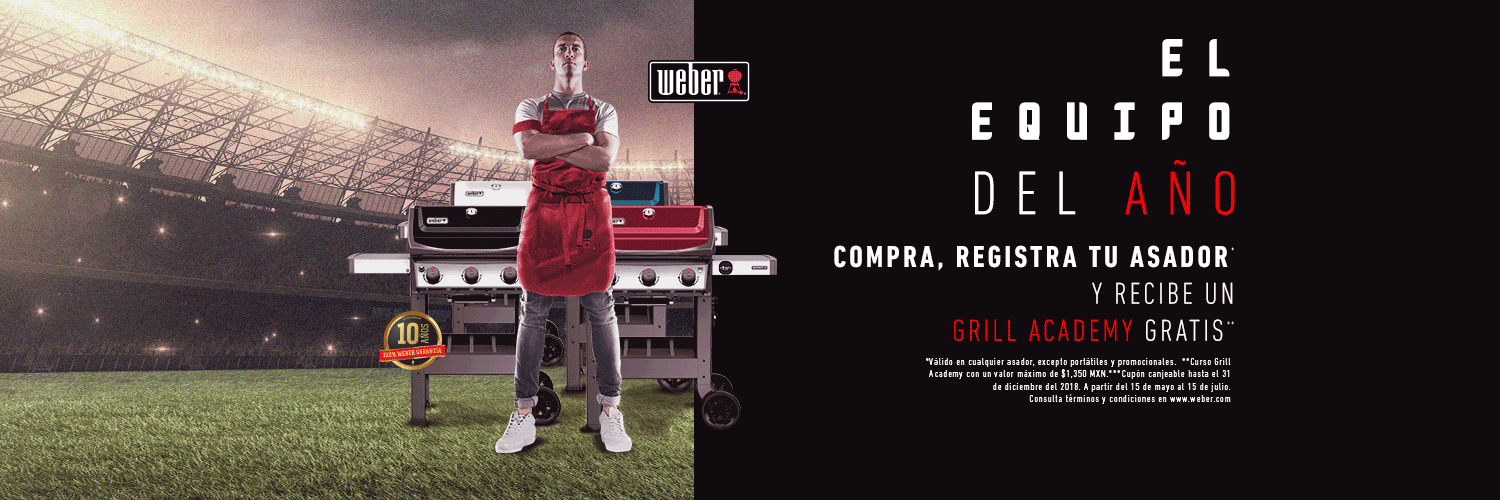dinamica compra registra y obtén imagen de asador de carbón