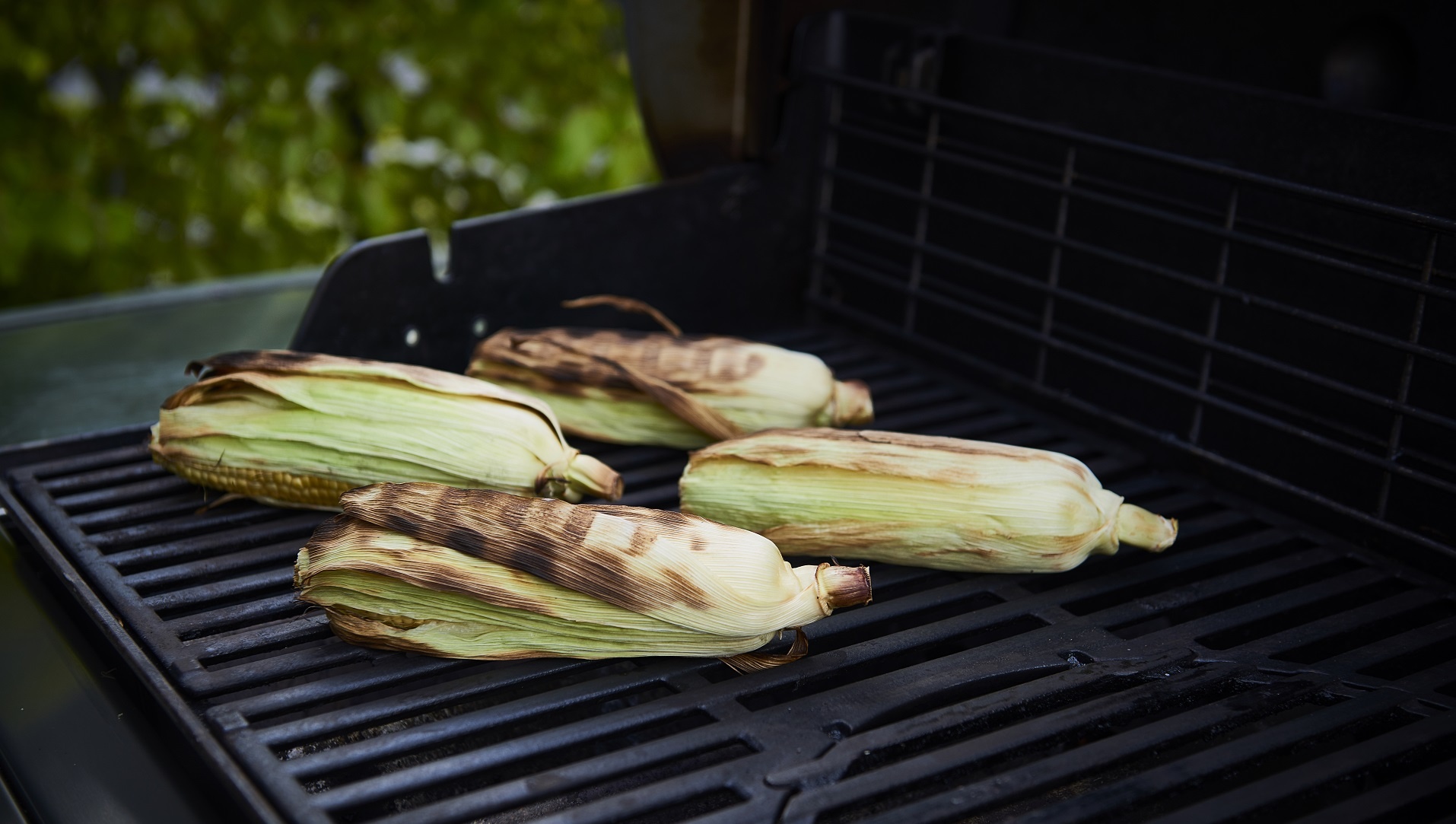  Barbecued corn


