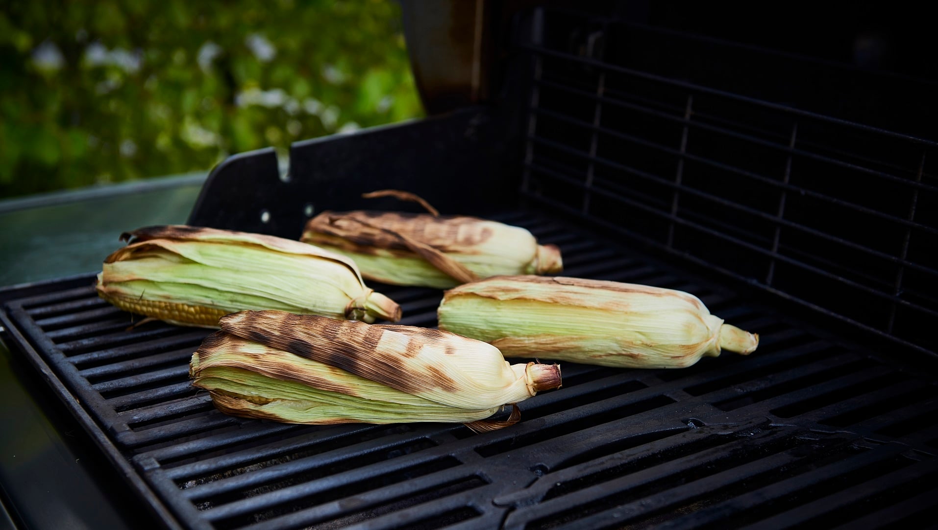  Barbecued corn


