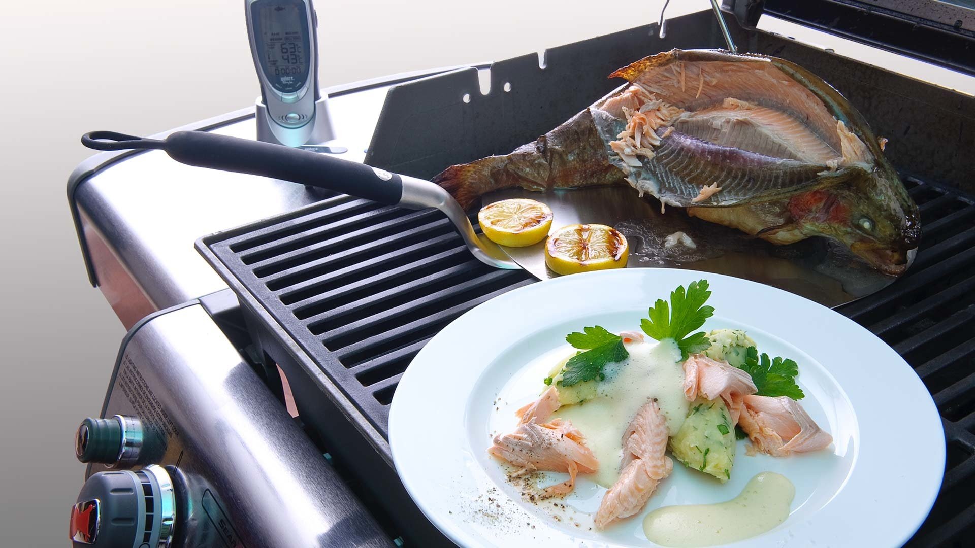  Aus dem Exclusive-Grillkurs - 
Heimische Lachsforelle am St&uuml;ck gegrillt, mit cremig-luftiger Chardonnay-Sabayone und Petersilien-Kartoffel-Stampf


