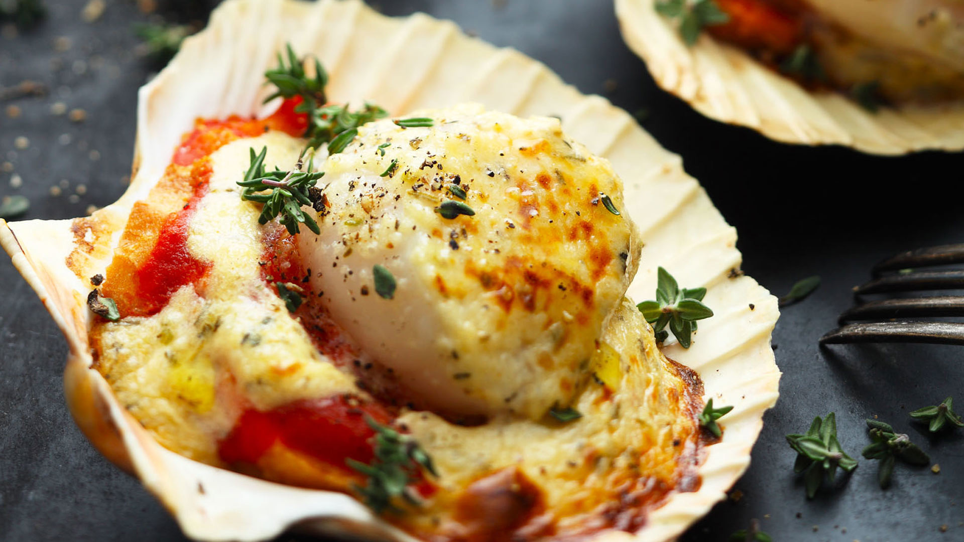  Frankreich - Jakobsmuschel mit Kr&auml;uter der Provence auf Tomatenbrot


