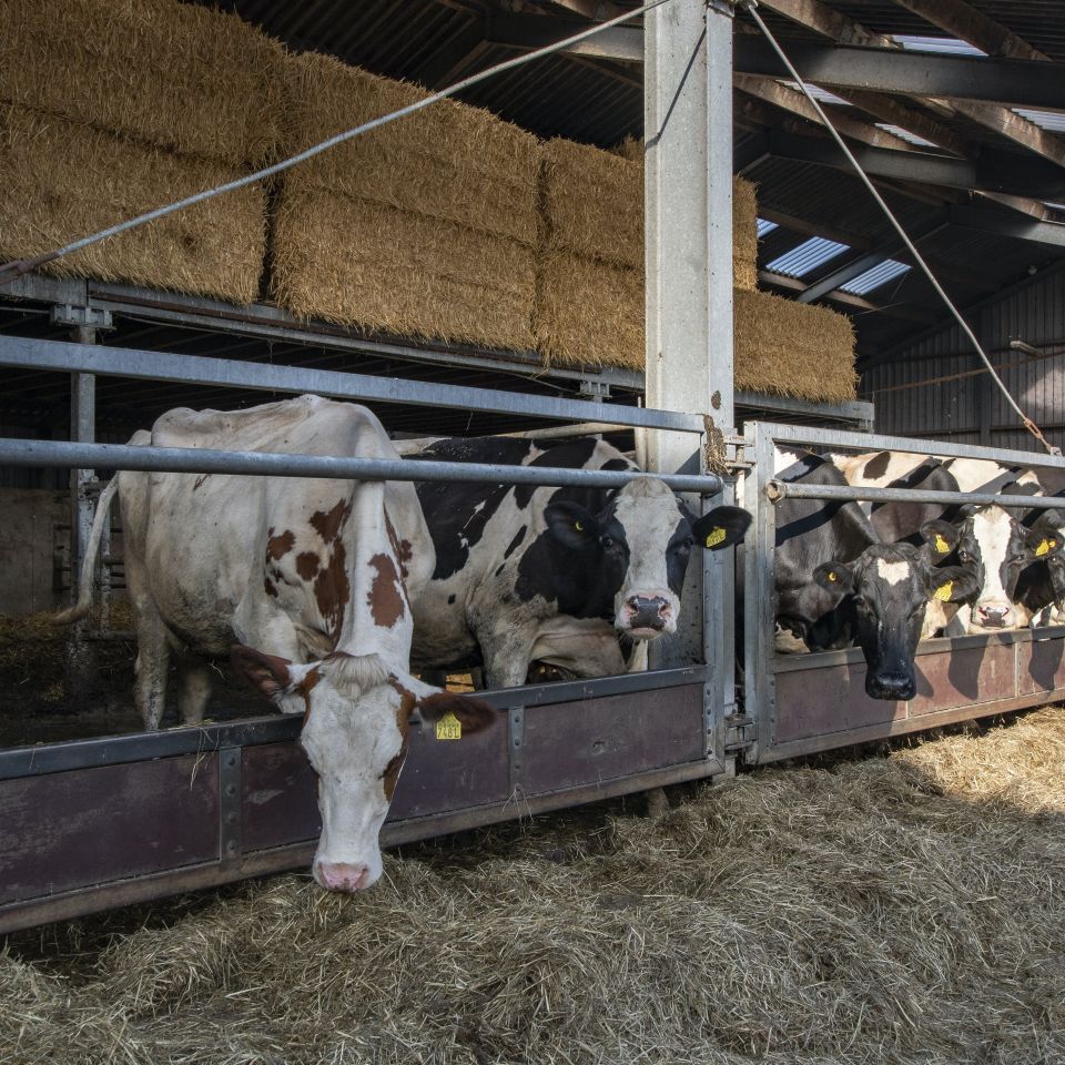 Grill Academy location image 2