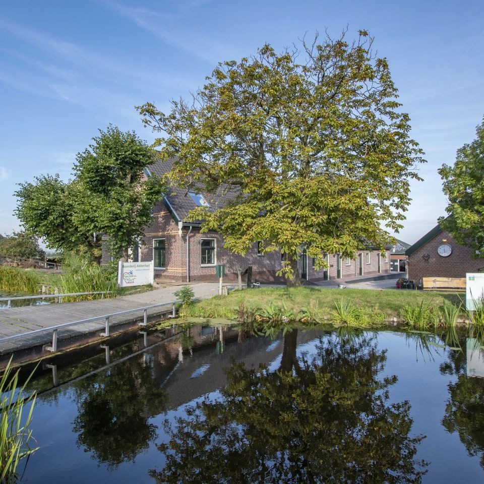 Grill Academy location image 1