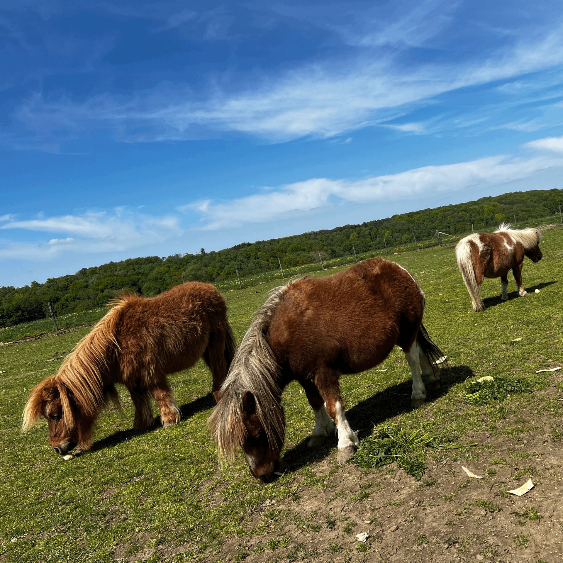 Grill Academy location image 2